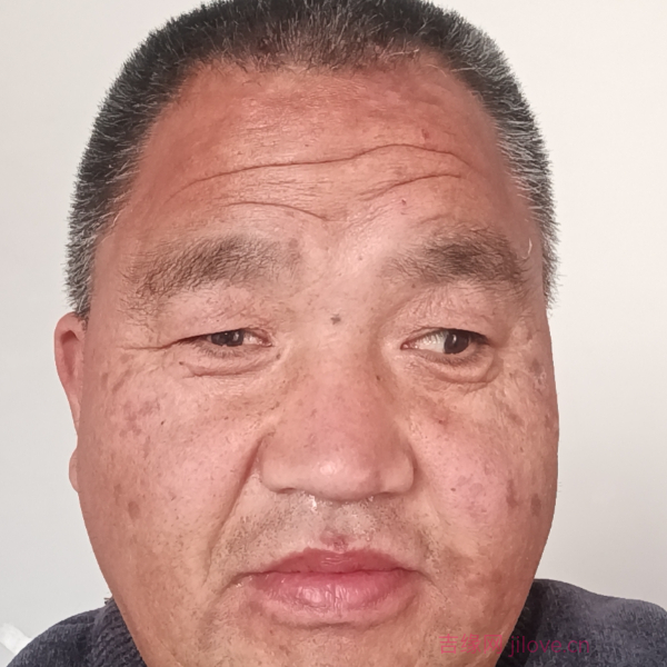 淄博征婚相亲网