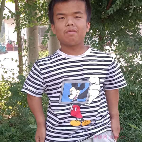 淄博征婚相亲网